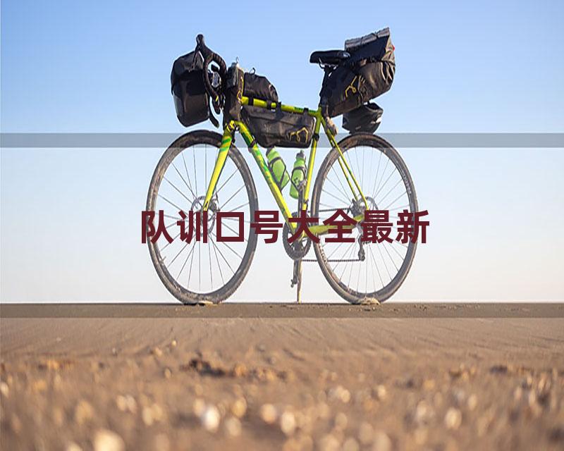 队训口号大全最新