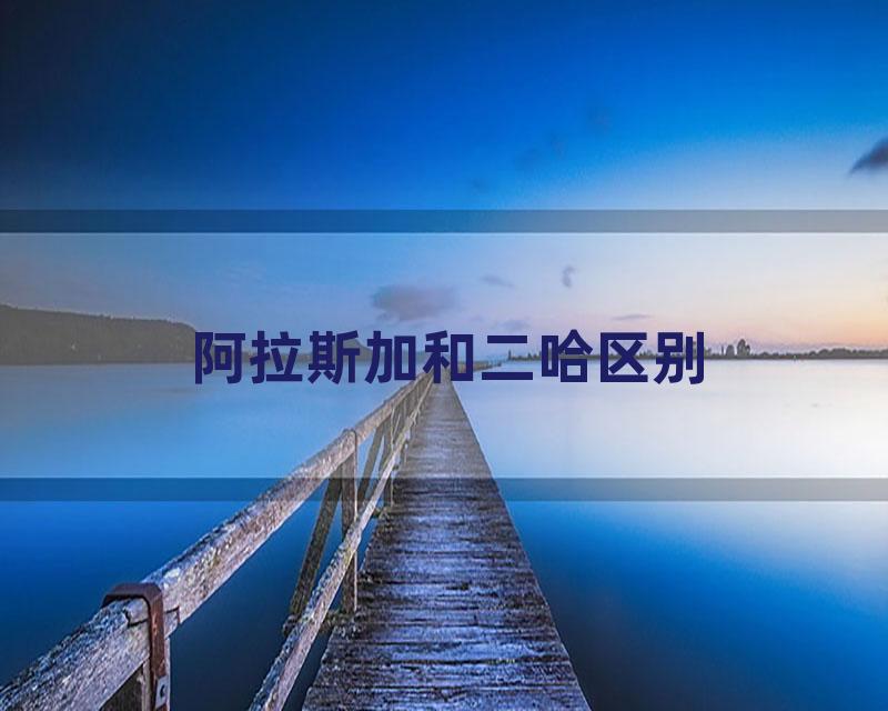 阿拉斯加和二哈区别