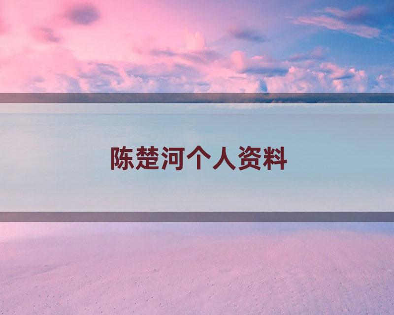陈楚河个人资料