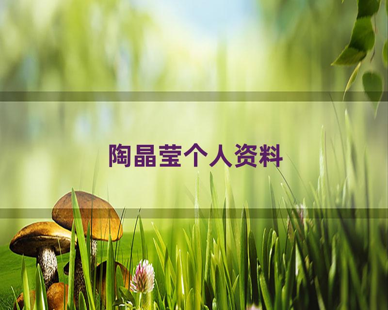 陶晶莹个人资料