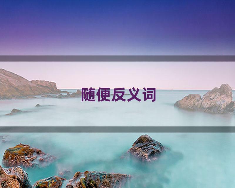 随便反义词