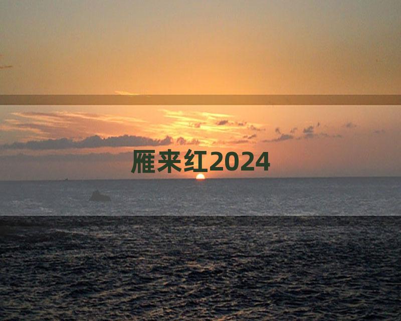 雁来红2024