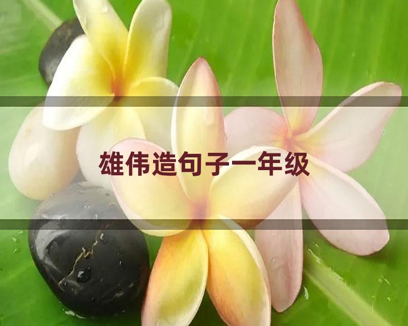 雄伟造句子一年级