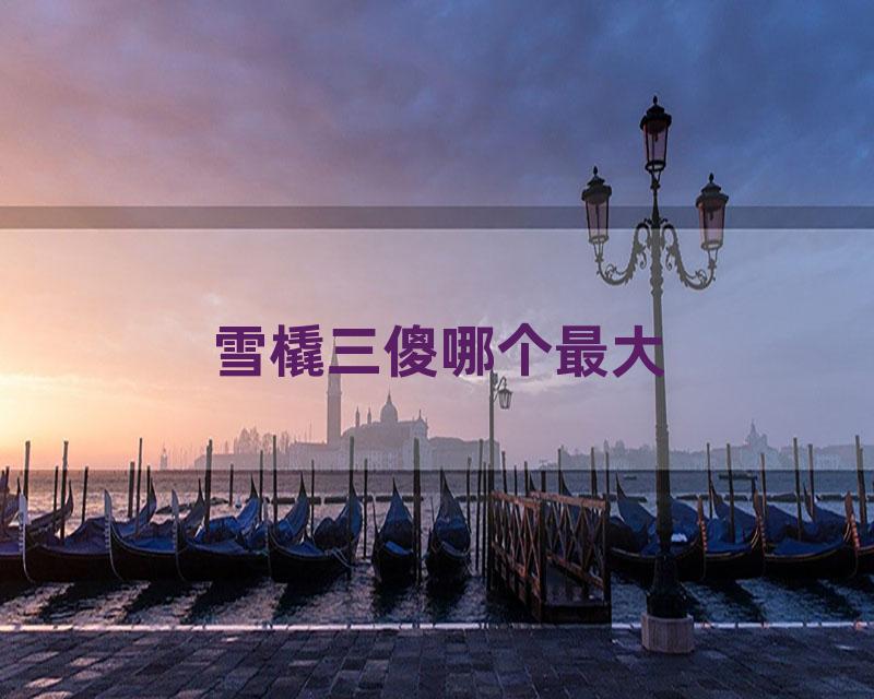 雪橇三傻哪个最大