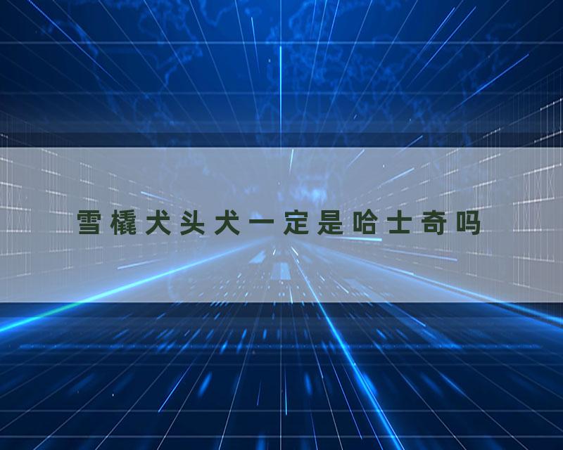 雪橇犬头犬一定是哈士奇吗