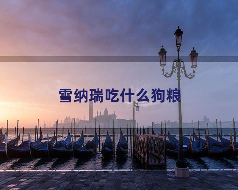 雪纳瑞吃什么狗粮