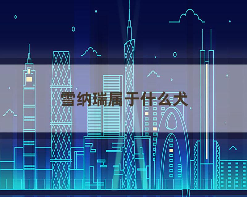 雪纳瑞属于什么犬