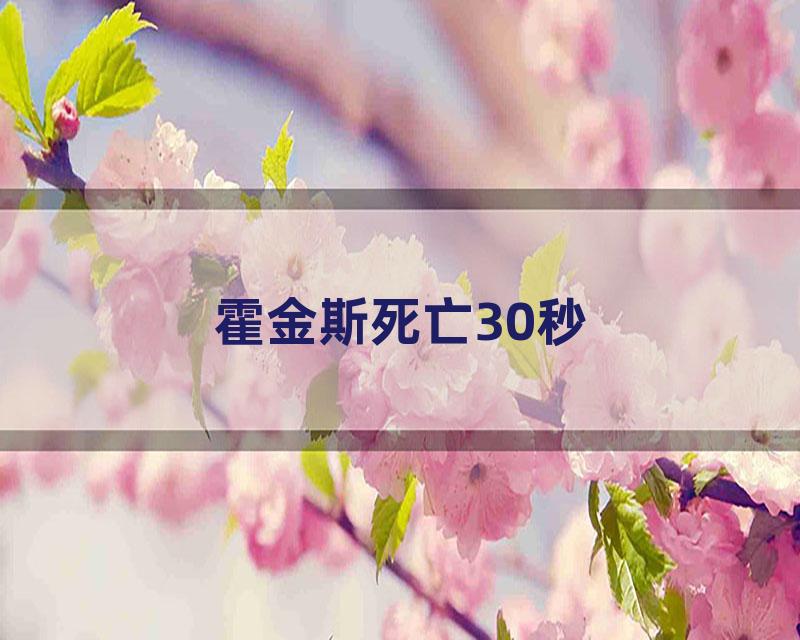 霍金斯死亡30秒