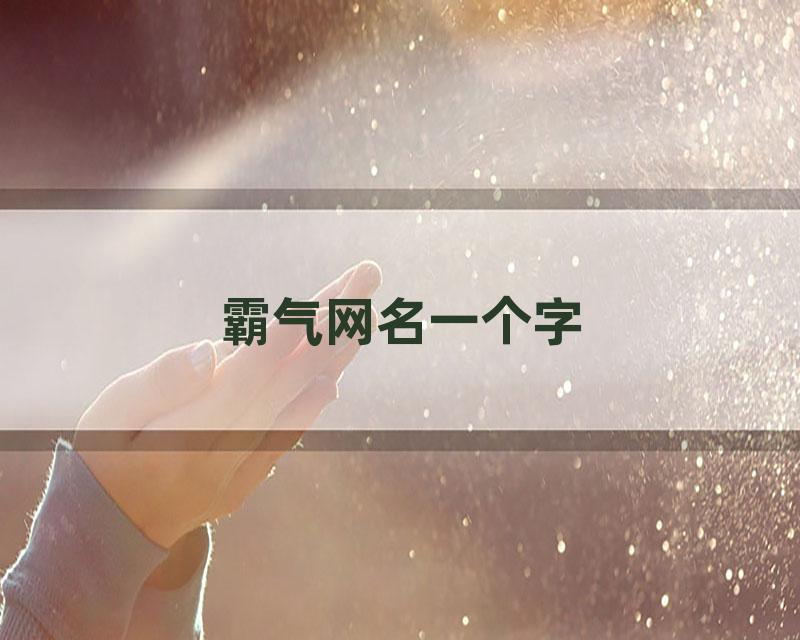 霸气网名一个字
