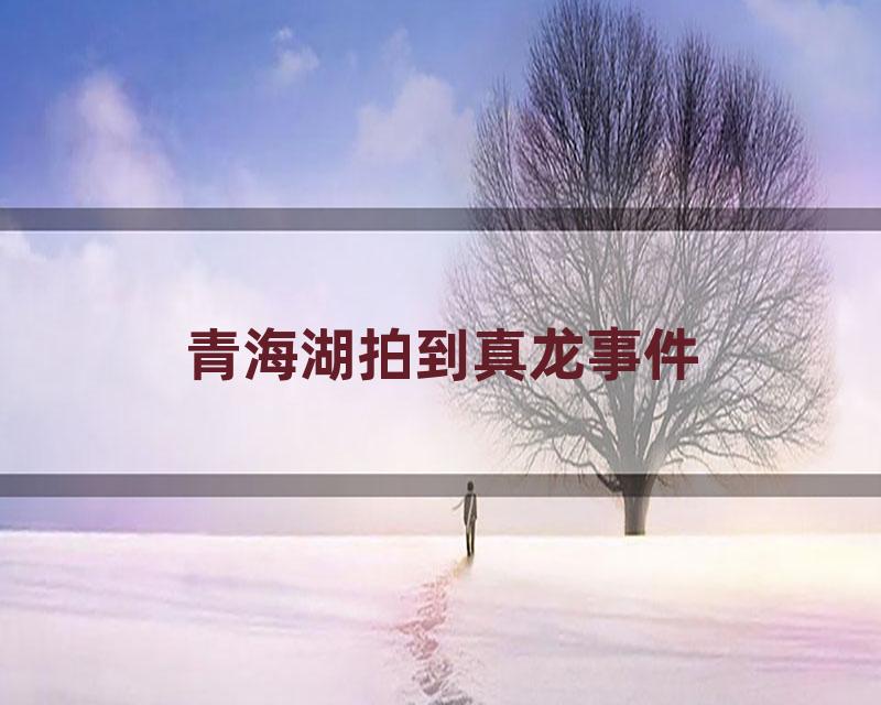 青海湖拍到真龙事件