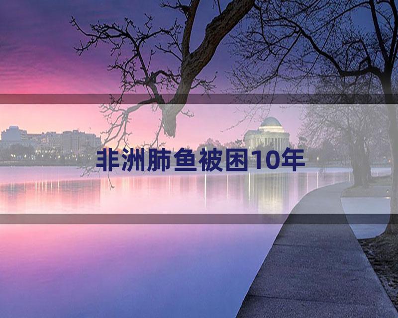 非洲肺鱼被困10年