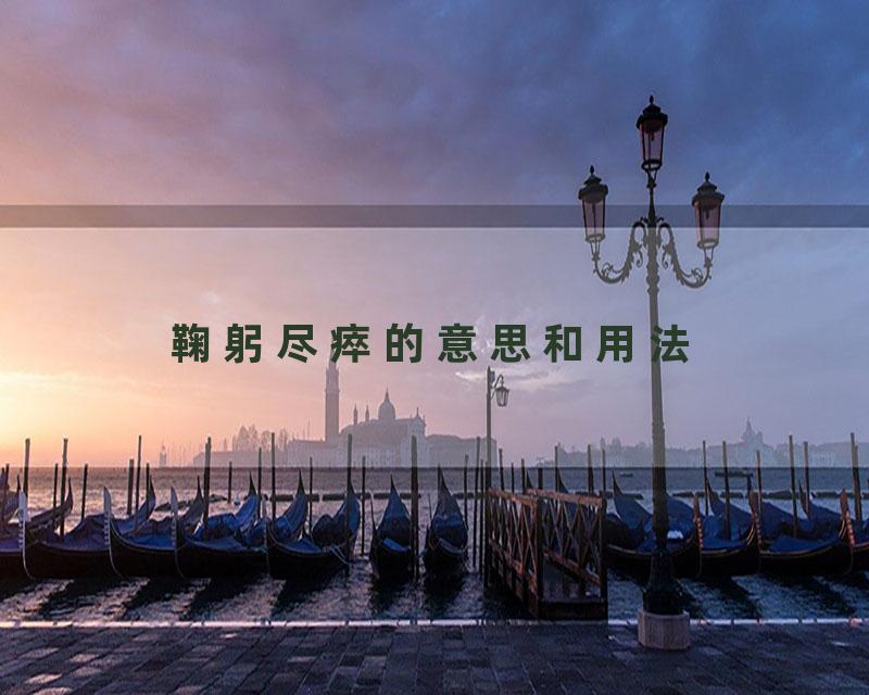 鞠躬尽瘁的意思和用法