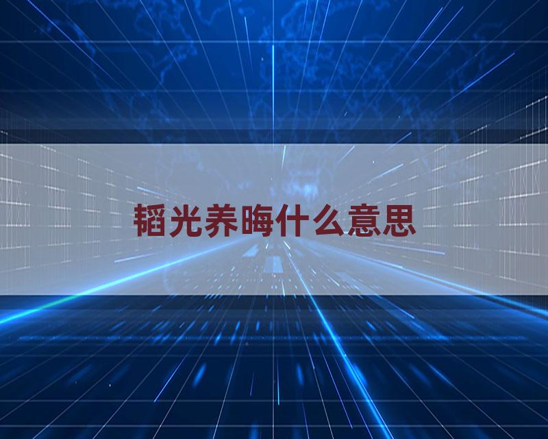 韬光养晦什么意思