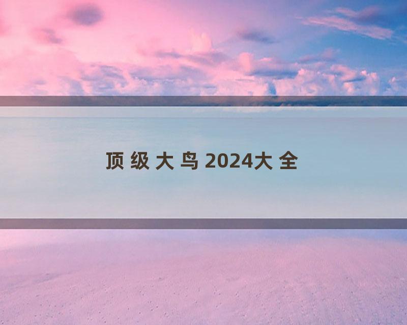 顶级大鸟2024大全