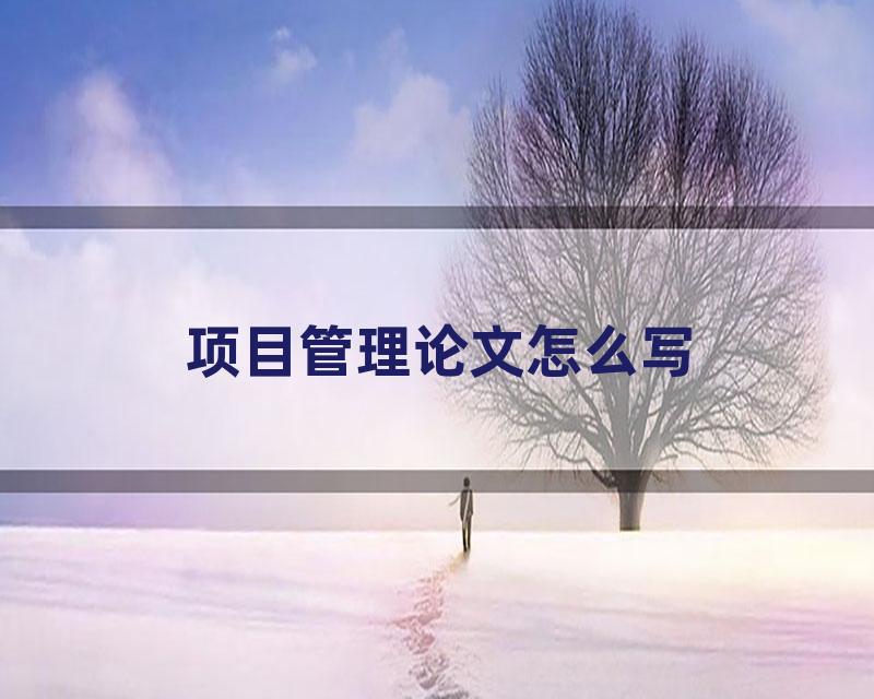 项目管理论文怎么写