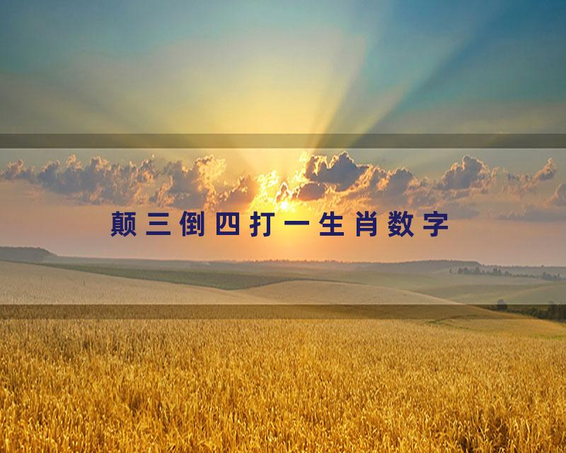 颠三倒四打一生肖数字