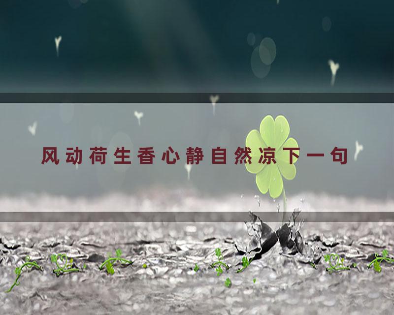 风动荷生香心静自然凉下一句