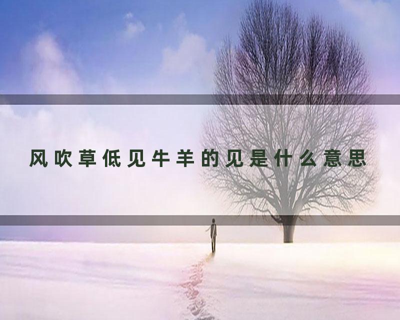 风吹草低见牛羊的见是什么意思