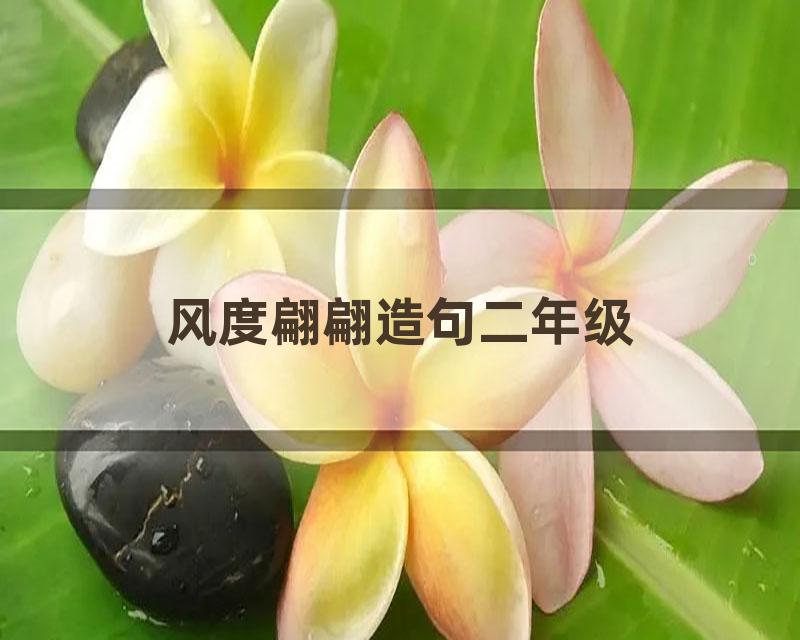 风度翩翩造句二年级