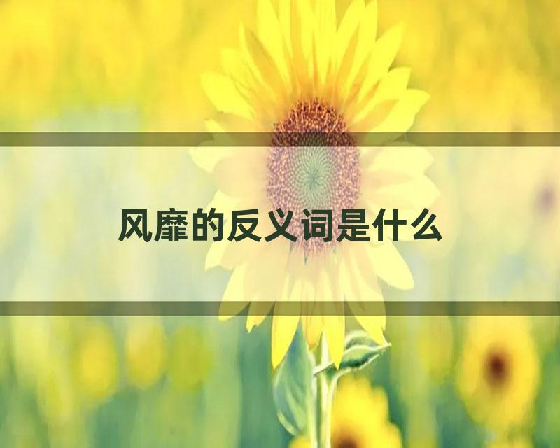 风靡的反义词是什么