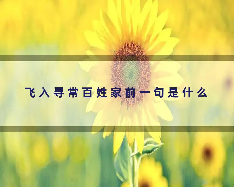 飞入寻常百姓家前一句是什么