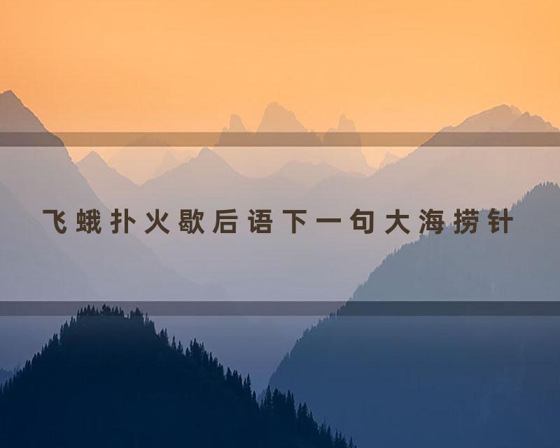 飞蛾扑火歇后语下一句大海捞针