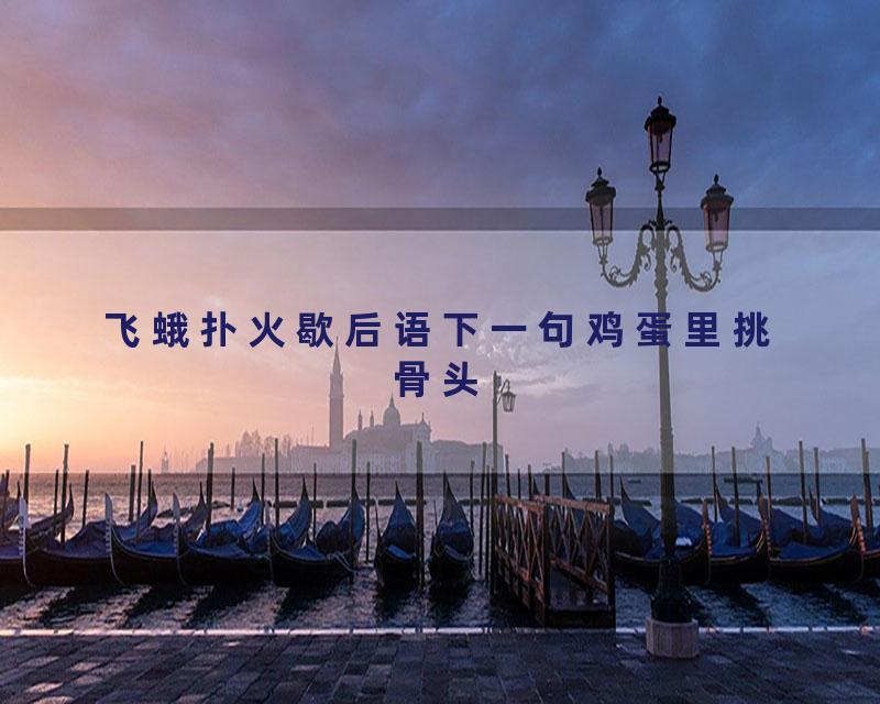 飞蛾扑火歇后语下一句鸡蛋里挑骨头