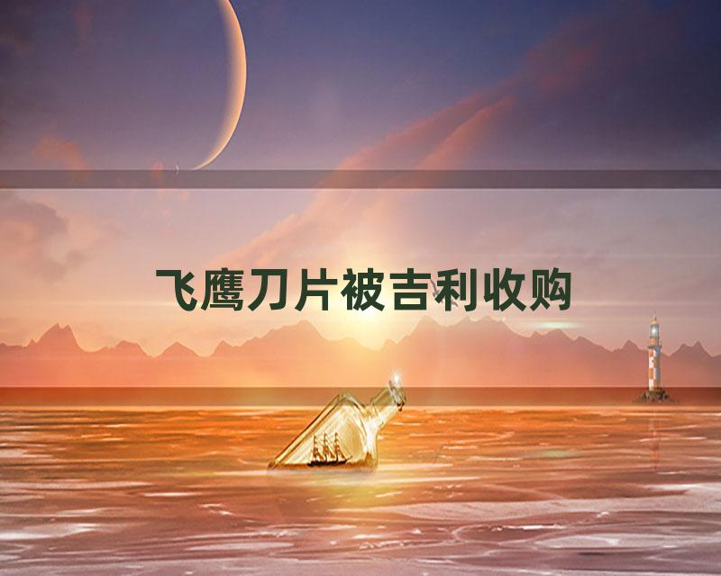 飞鹰刀片被吉利收购
