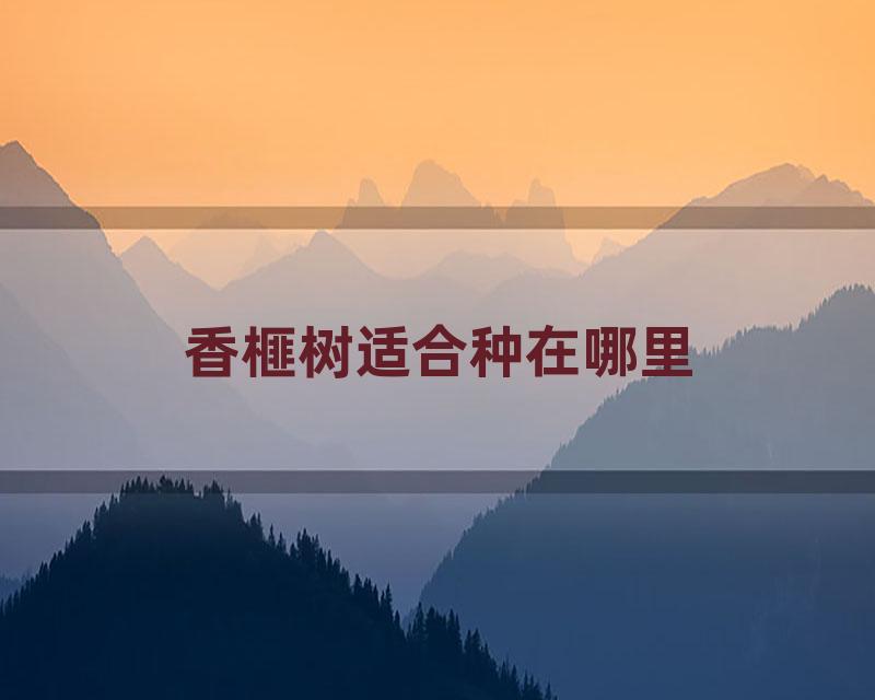 香榧树适合种在哪里