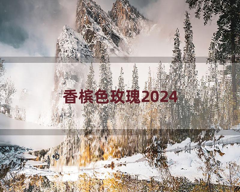 香槟色玫瑰2024