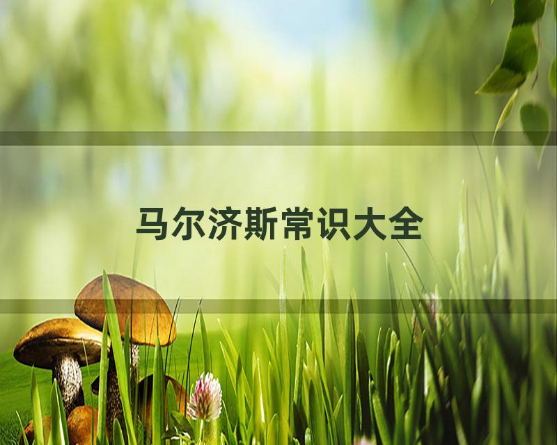 马尔济斯常识大全