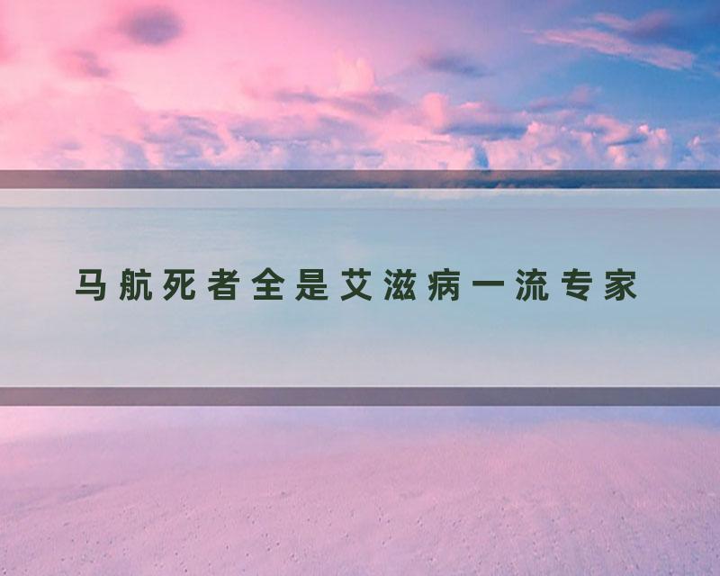马航死者全是艾滋病一流专家