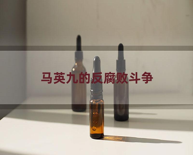 马英九的反腐败斗争