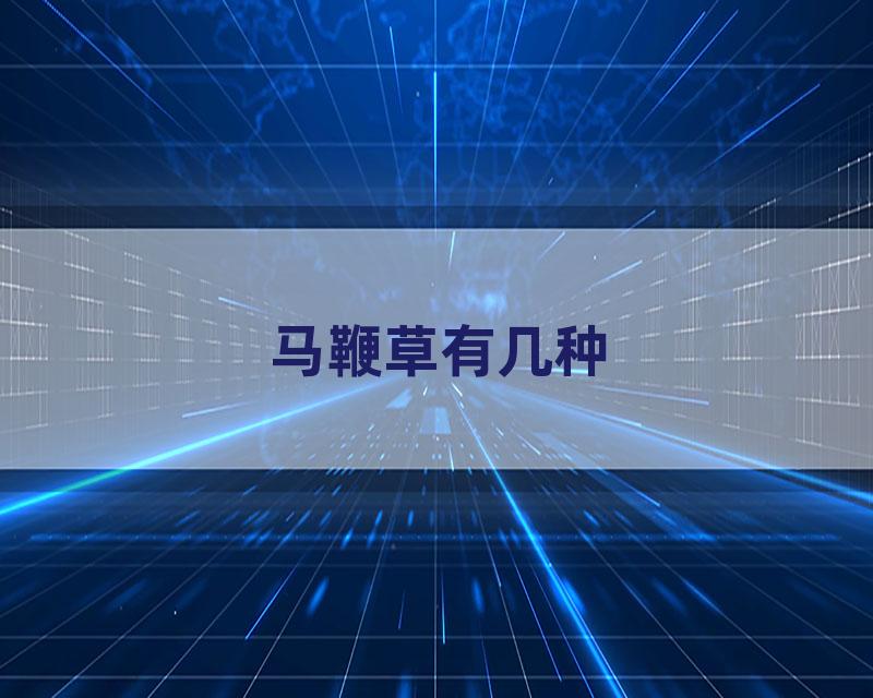 马鞭草有几种
