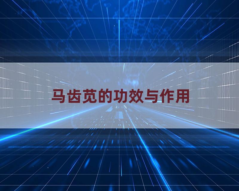 马齿苋的功效与作用