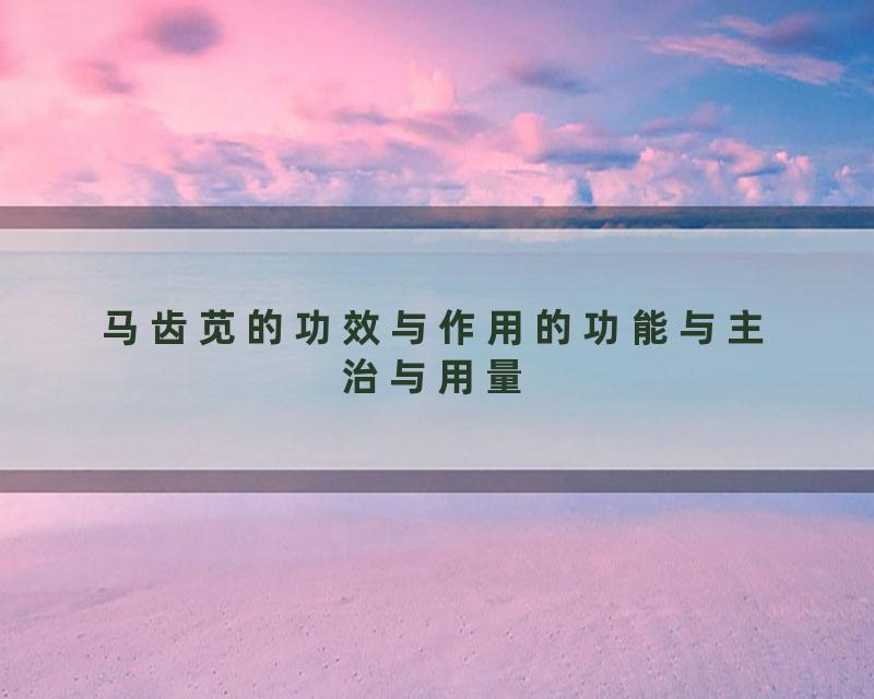 马齿苋的功效与作用的功能与主治与用量