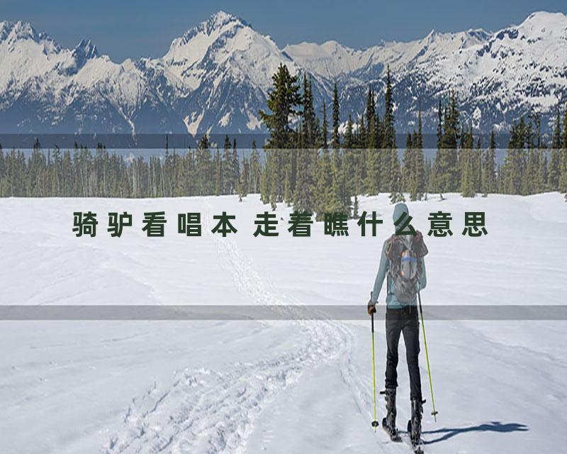 骑驴看唱本 走着瞧什么意思