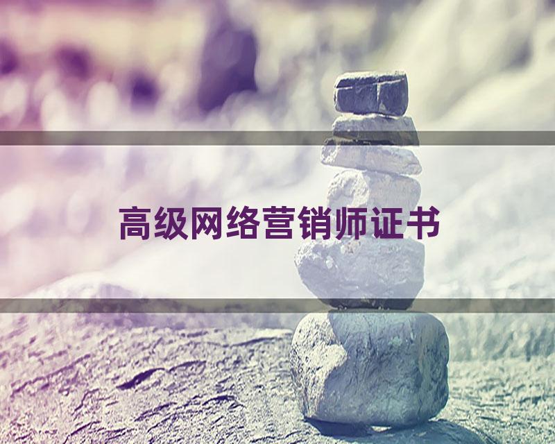 高级网络营销师证书