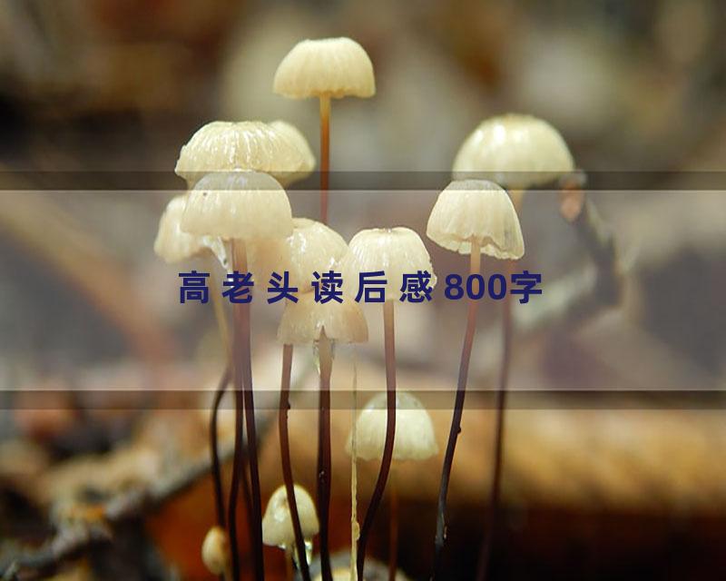 高老头读后感800字