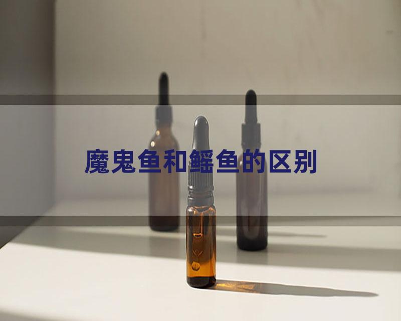 魔鬼鱼和鳐鱼的区别