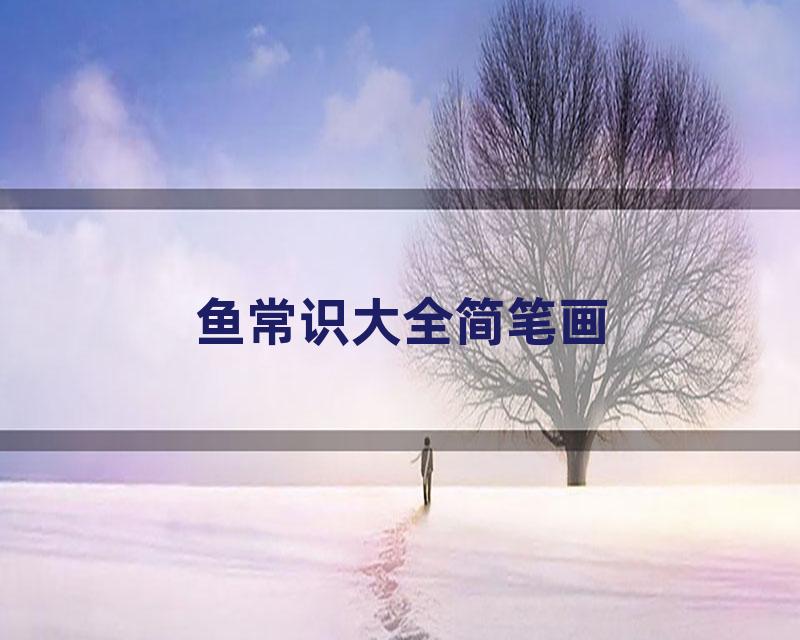 鱼常识大全简笔画