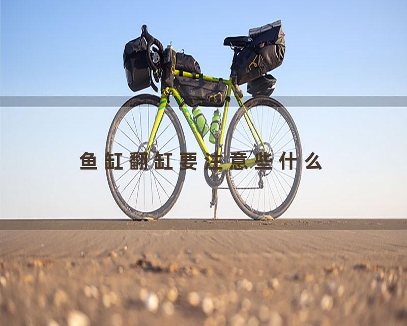 鱼缸翻缸要注意些什么