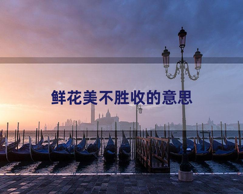 鲜花美不胜收的意思