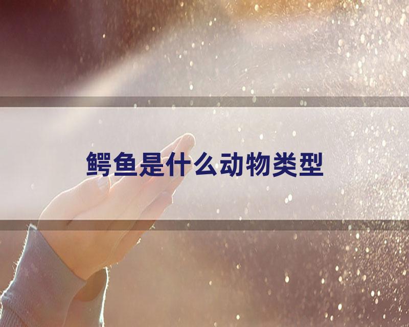 鳄鱼是什么动物类型