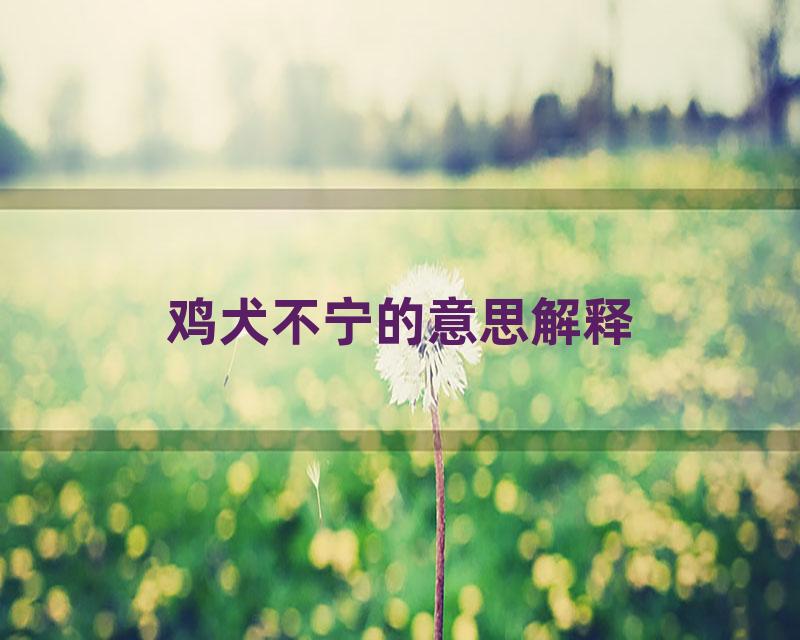 鸡犬不宁的意思解释