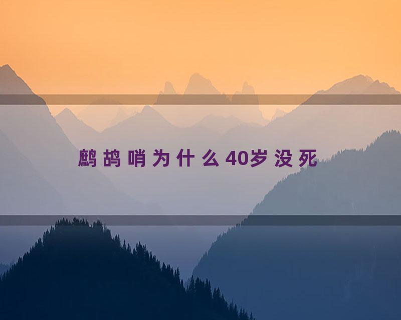 鹧鸪哨为什么40岁没死