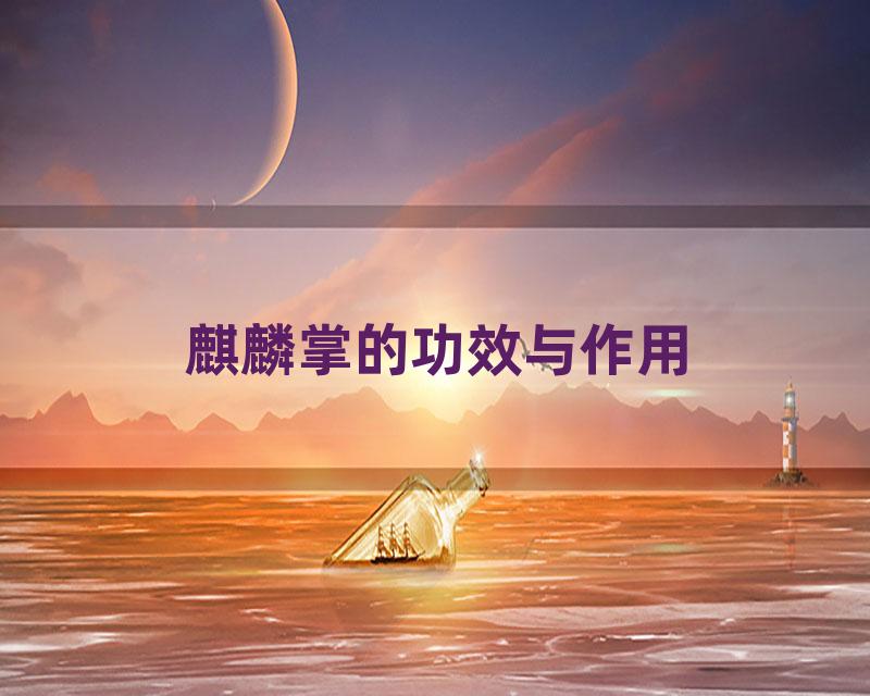 麒麟掌的功效与作用