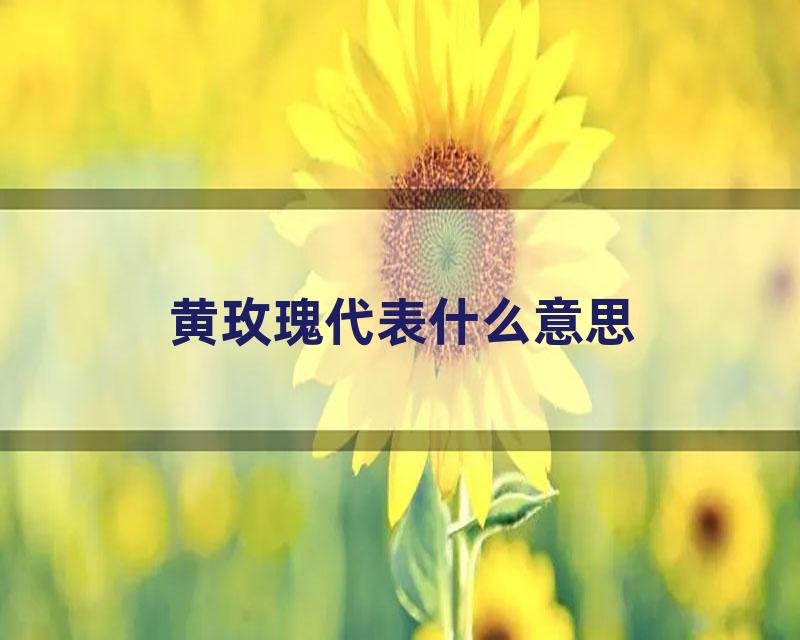 黄玫瑰代表什么意思