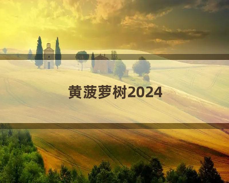 黄菠萝树2024