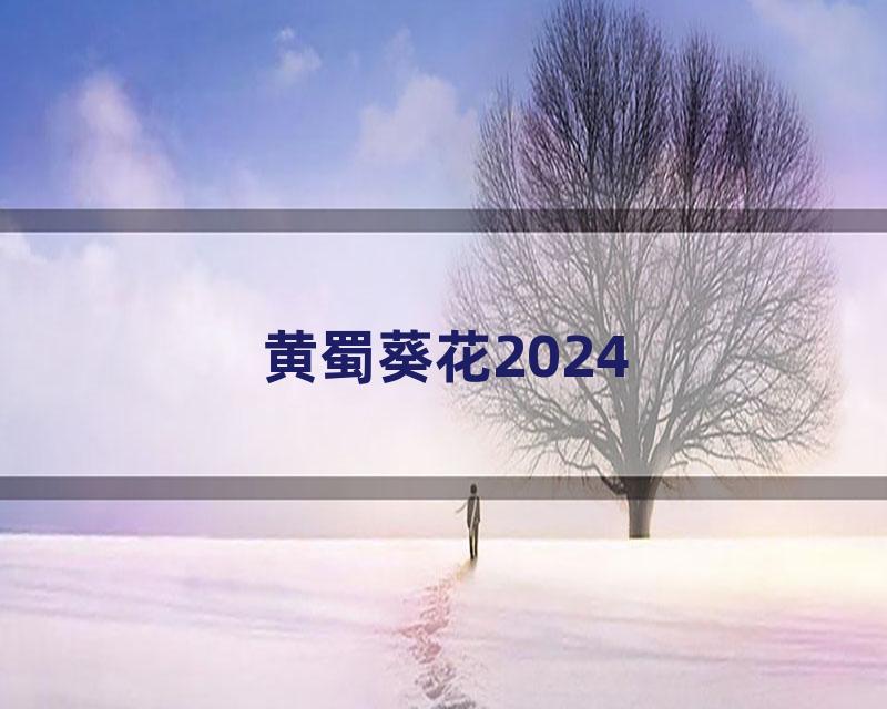 黄蜀葵花2024